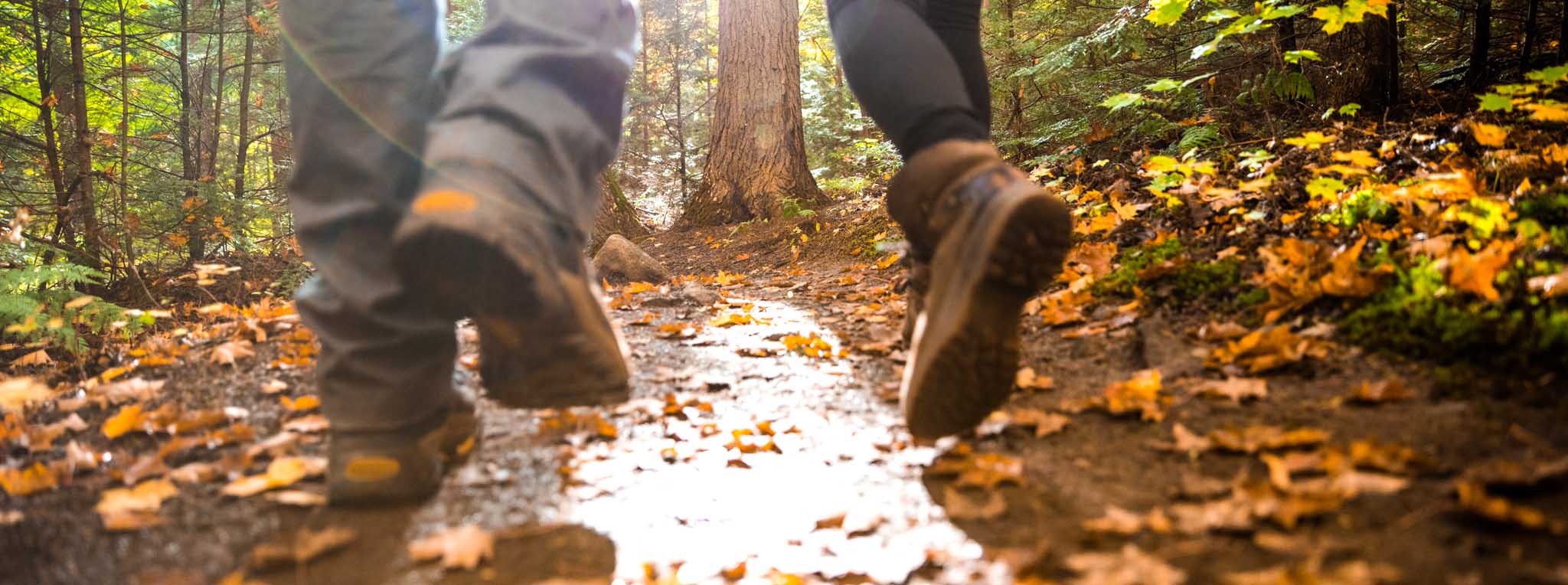 boots walking in leaves