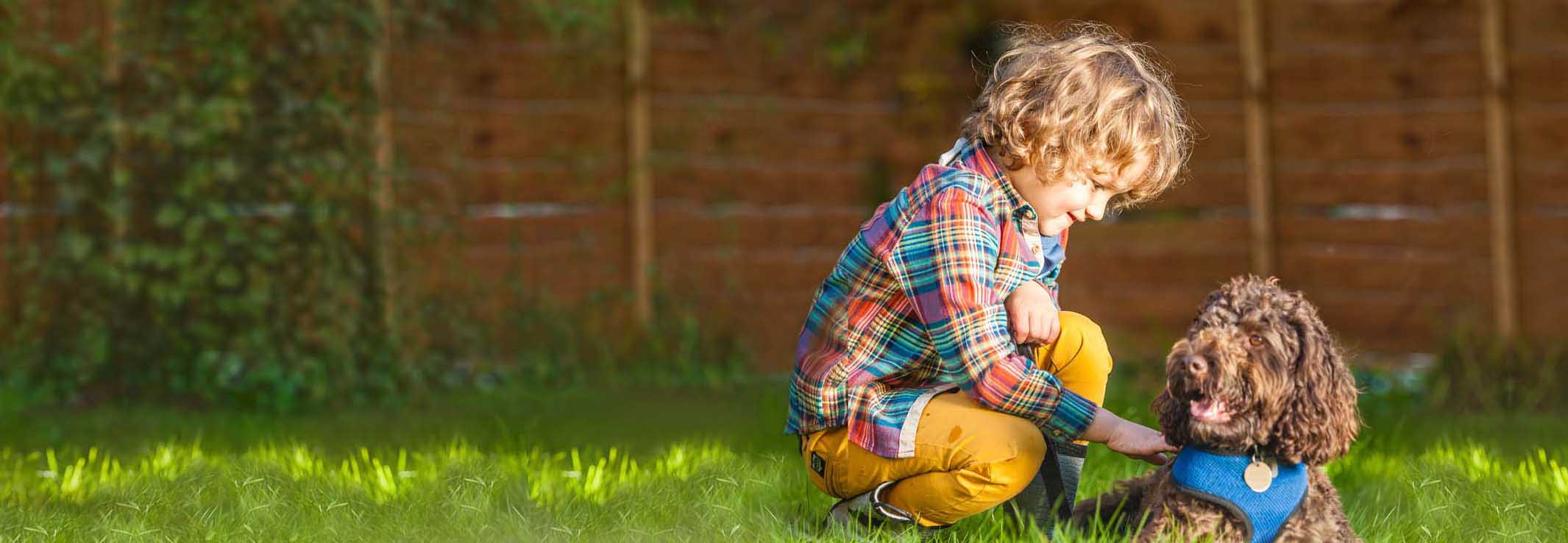 child and dog