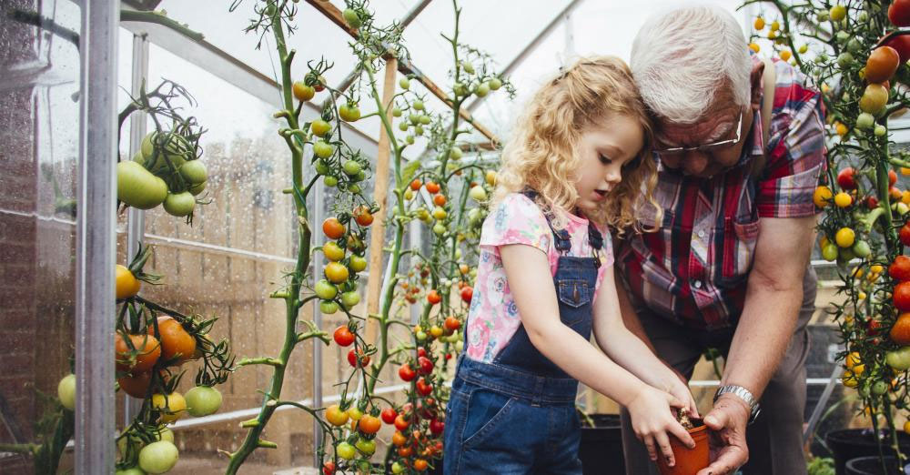 child and grandfather in garden